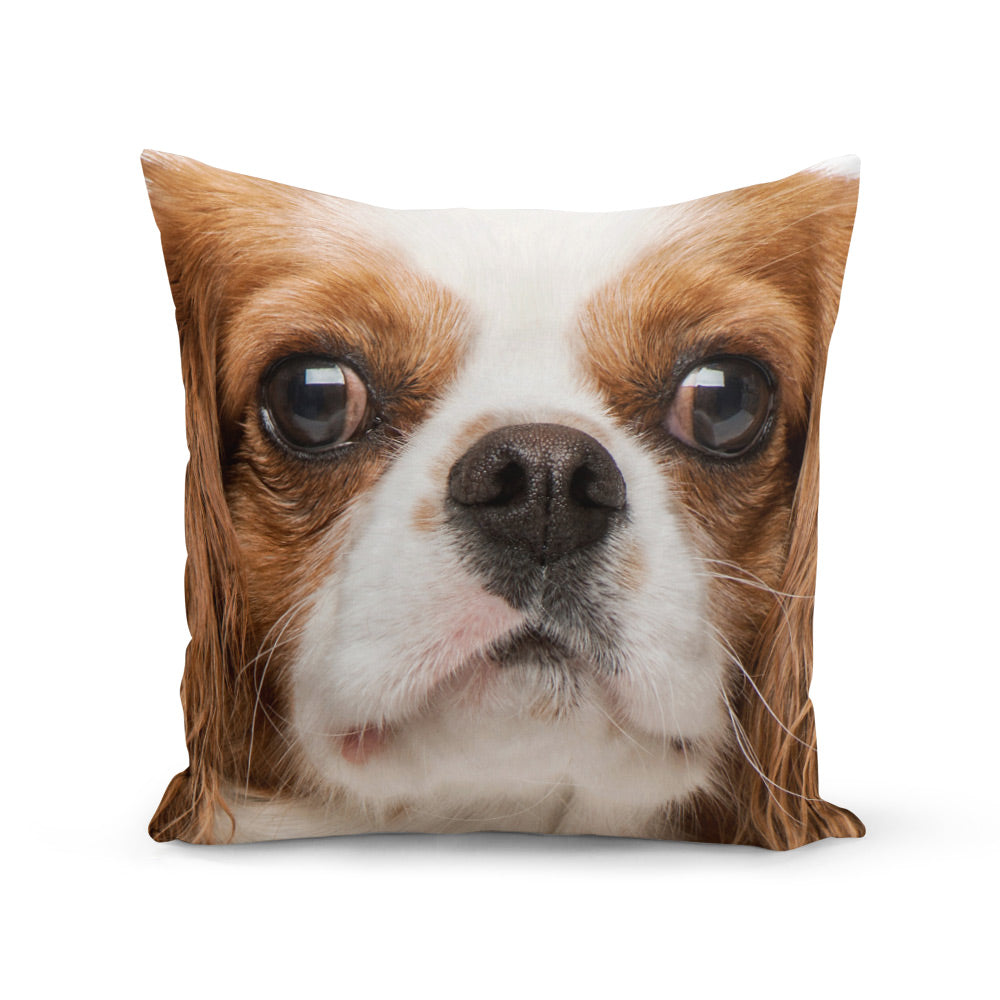 Face Splat Pillow
