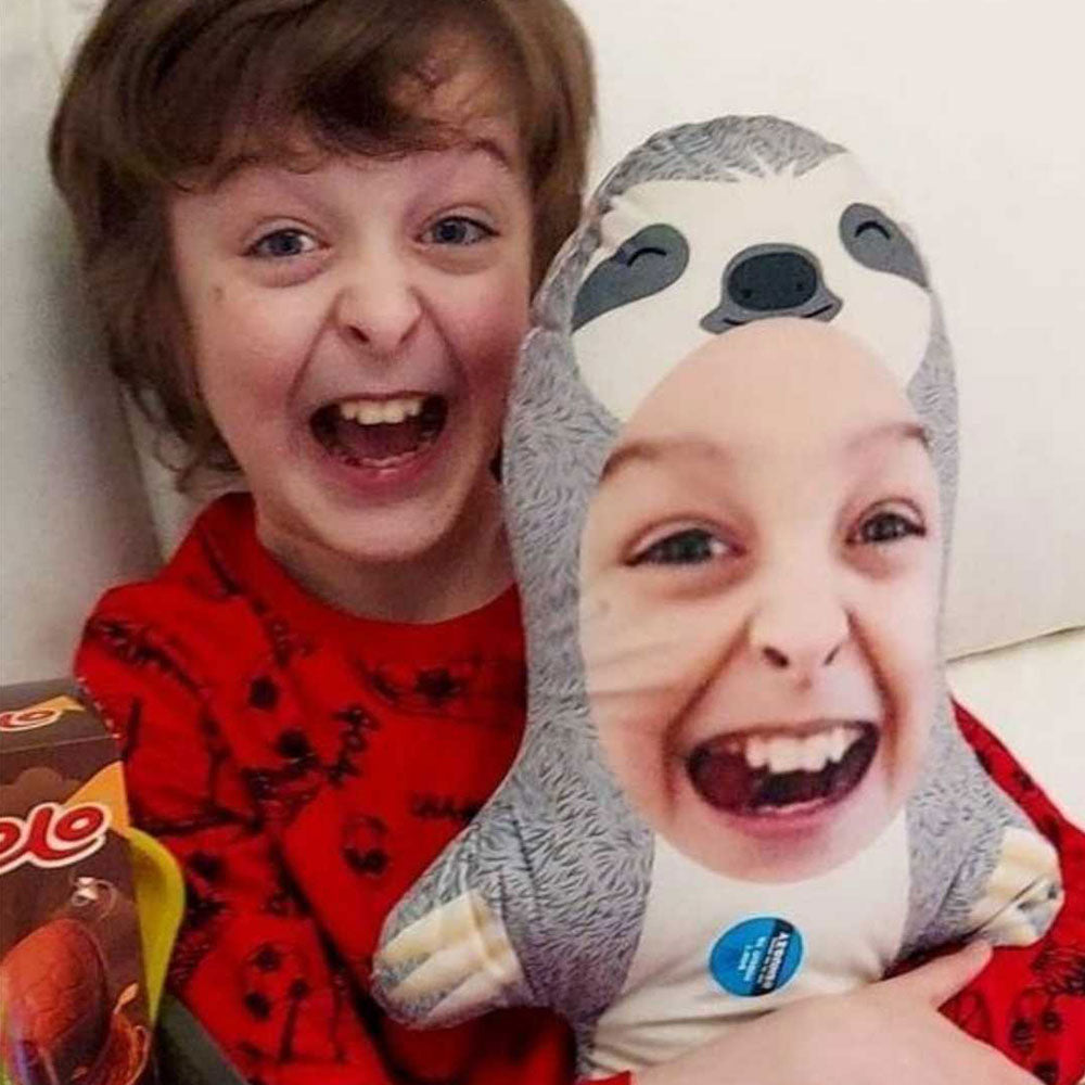 Sloth Face Pillow