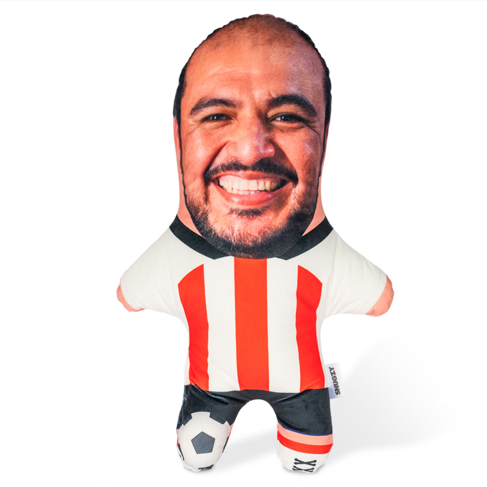 The Black Cats Face Pillow