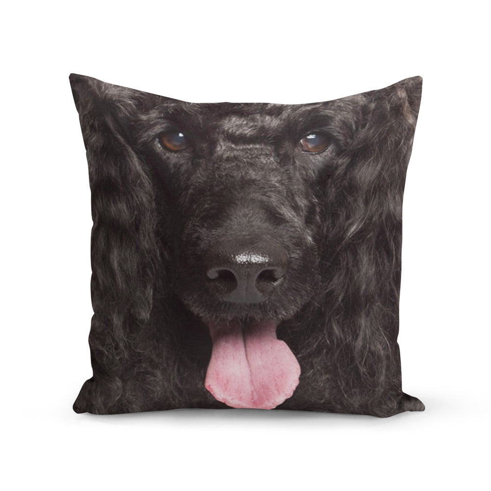 Face Splat Pillow